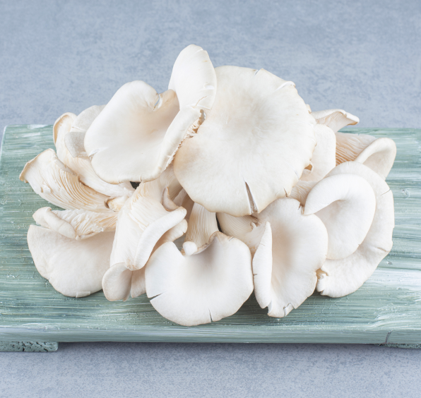 Oyster Mushroom